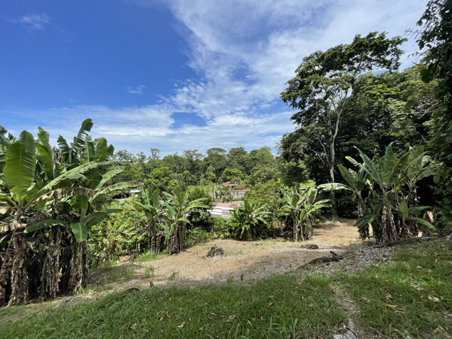 OPORTUNIDAD! LOTE SOBRE RUTA 36 EN COMADRE DE CAHUITA DE LIMON en Cahuita, Talamanca, Limón — ₡ 30 000 000 - Foto 3 de 25