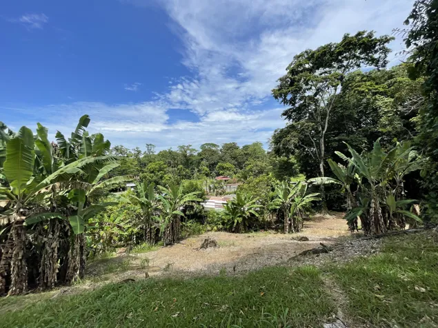 OPORTUNIDAD! LOTE SOBRE RUTA 36 EN COMADRE DE CAHUITA DE LIMON en Cahuita, Talamanca, Limón — ₡ 30 000 000 - Foto 3 de 25