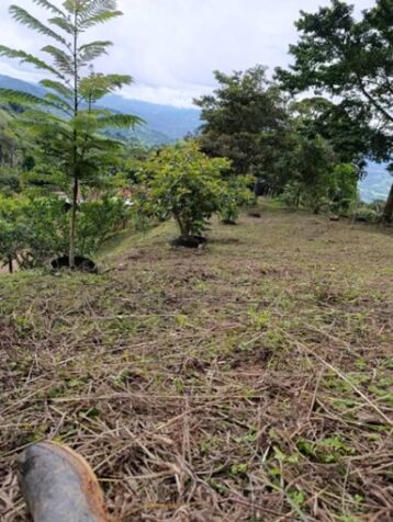 Propiedad lista para construir in San Isidro De El General, Pérez Zeledón, San José — ₡ 20 000 000