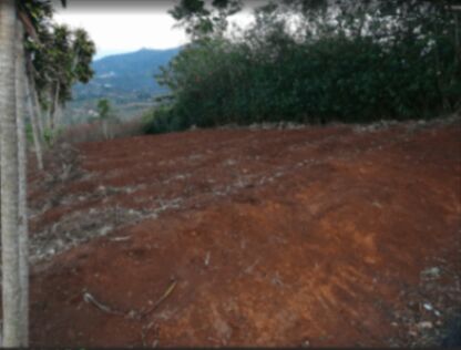 VENTA TERRENO PARA CONSTRUCCION  en Palmitos, Naranjo, Alajuela — ₡ 13 000 000