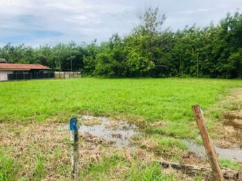 Lote comercial o residencial en Palmar, Osa, Puntarenas — 18 607 500 ₡ - Foto 4 de 4