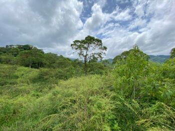 Venta de Lote en San Ramon, Alajuela. RAH 25-1837 in Peñas Blancas, San Ramón, Alajuela — $1,500,000 - Photo 4 of 9