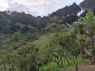VENTA O ALQUILER FINCA DE DESARROLLO TURISTICO, CARTAGO en Quebradilla, Cartago — $7,500 - Foto 4 de 31