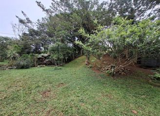 Se vende propiedad de 3.600 m2 en Piedades Norte, San Ramón, Alajuela — 50 000 000 ₡ - Foto 5 de 11