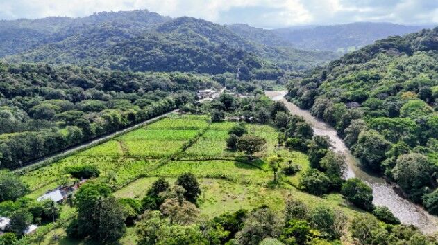 SE VENDE FINCA COMPLETAMENTE PLANA IDEAL PARA DESARROLLO E INVERSION CERCA DE DOMINICAL in San Isidro De El General, Pérez Zeledón, San José — $1,600,000