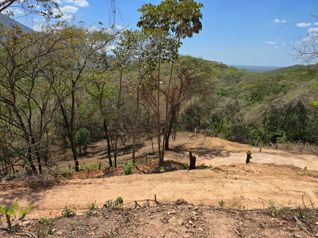 Venta de Quinta con Bosque Primario No 115 in San Pedro, Turrubares, San José — 38 000 000 ₡ - Photo 4 of 4