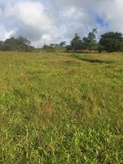 🏞️ LOTE CON GRAN POTENCIAL DE DESARROLLO📍 Tilarán, Guanacaste