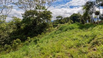 VENTA DE LOTE DE 272 M2 EN TRES RIOS, PEREZ ZELEDON: IDEAL PARA AIRBNB O CABAÑA in Buenos Aires, Puntarenas — $10,000 - Photo 4 of 4