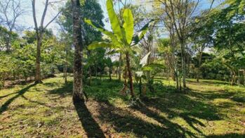 Beautiful land (26+ acres) for sale in the heart of Quizarra in Cajón, Pérez Zeledón, San José — $399,000 - Photo 4 of 23
