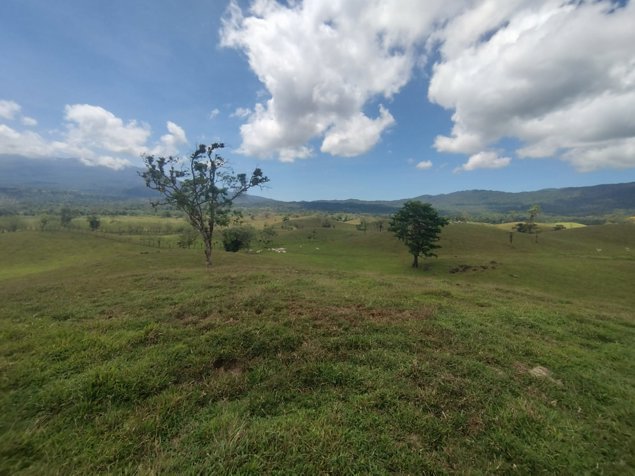 Se Vende (Venta) Finca Producción, Dos Ríos Upala  Cod FU 1369 en Upala, Alajuela — $6,776,000 - Foto 3 de 36
