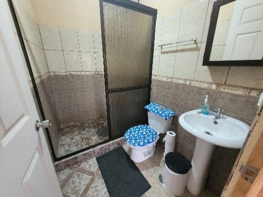 Venta Cabinas El Bosque in San Isidro, San Ramón, Alajuela — ₡ 39 000 000