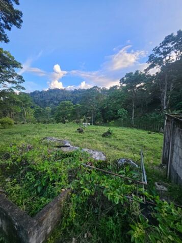 BELLA Y ÚTIL FINCA EN SAN JUAN NORTE DE TURRIALBA.  en Turrialba, Cartago — ₡ 500 000 000