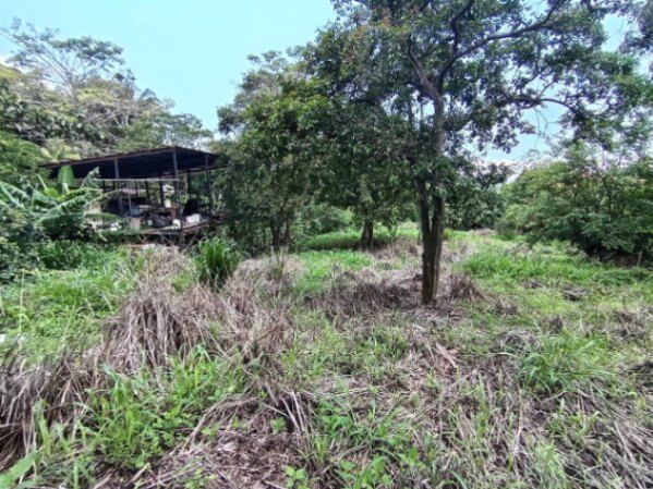 Se vende lote de más de 4600 m2 en Mora Colón 26-1801 in Colón, Mora, San José — ₡ 96 000 000