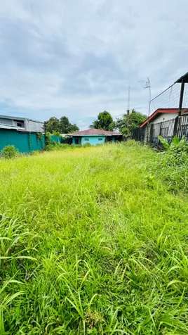 🏢 TERRENO EN VENTA EN GUÁPILES CENTRO | IDEAL PARA COMERCIO en Guápiles, Pococí, Limón — ₡ 130 000 000 - Foto 3 de 3