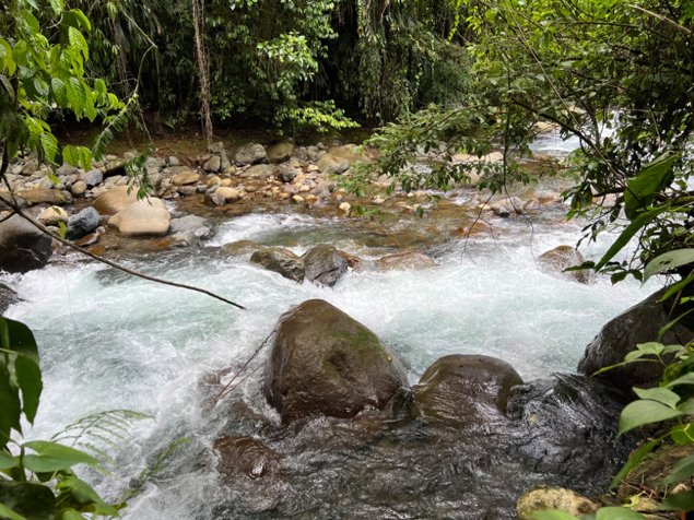 VENTA DE QUINTA DE 5.000 M2 CON ACCESO AL RIO PEÑAS BLANCAS Y RANCHO EN SANTA ELENA, PEREZ ZELEDON en El General, Pérez Zeledón, San José — $181,000 - Foto 3 de 13