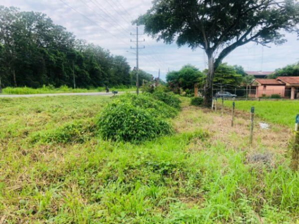 Lote uso de suelo mixto residencial o comercial en Palmar, Osa, Puntarenas — ₡ 15 361 800