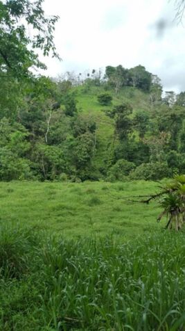SE VENDE BELLA FINCA GANADERA CON PROYECTO TURÍSTICO.  en Venado, San Carlos, Alajuela — ₡ 750 000 000