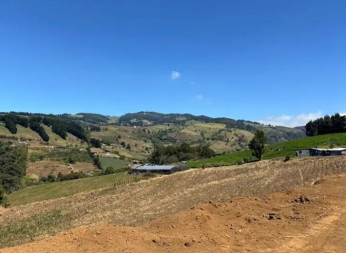 SE VENDEN 2 BELLÍSIMAS PROPIEDADES EN NARANJO, ALAJUELA.  en Naranjo, Alajuela — ₡ 50 000 000