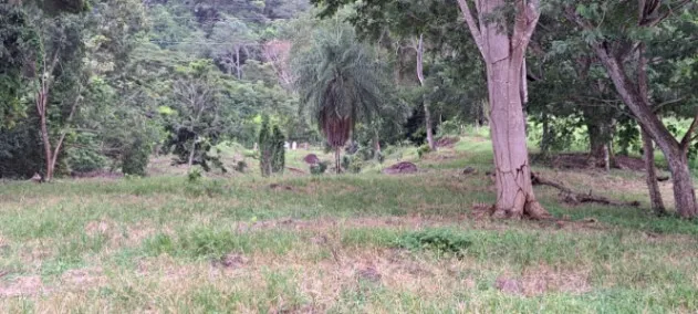 QUINTA CON HERMOSA VISTA A CALDERA en Barranca, Puntarenas — ₡ 150 000 000 - Foto 3 de 12