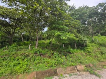 Venta de Lote en Santa Cruz de Guanacaste. RAH 26-559 in Tempate, Santa Cruz, Guanacaste — $240,000 - Photo 4 of 7
