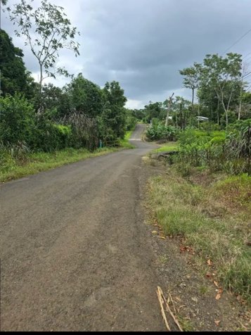 🌿 LOTE EN VENTA – LA TIGRA en La Tigra, San Carlos, Alajuela — ₡ 19 000 000 - Foto 2 de 6