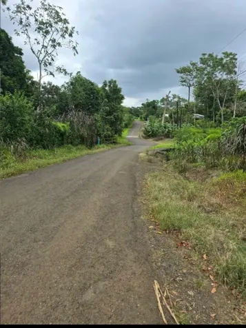 🌿 LOTE EN VENTA – LA TIGRA en La Tigra, San Carlos, Alajuela — ₡ 19 000 000 - Foto 2 de 6