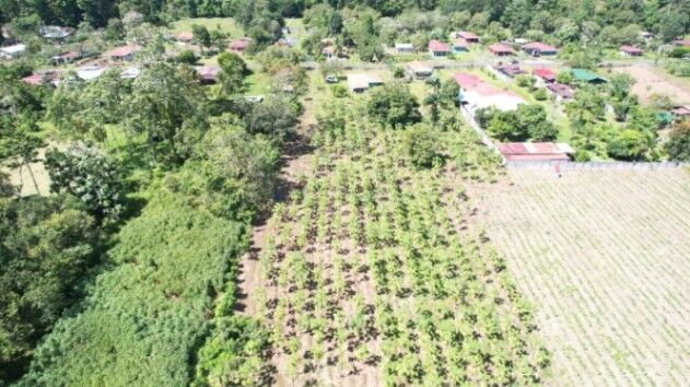 Venta de Lote + Casa en Guâcimo, Limôn.  en Guácimo, Limón — ₡ 98 000 000