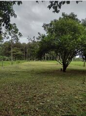 BELLÍSIMA PROPIEDAD EN LA FORTUNA DE SAN CARLOS.  en La Fortuna, San Carlos, Alajuela — 40 000 000 ₡ - Foto 4 de 5
