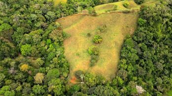 Land For Sale Puerto Cortés, Osa, Puntarenas