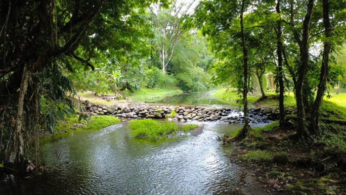 Venta hermosa Finca en Horquetas de Sarapiquí in Las Horquetas, Sarapiquí, Heredia — ₡ 150 000 000