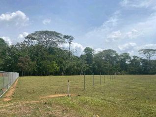 Terreno Listo Para Construir in La Fortuna, San Carlos, Alajuela — 32 000 000 ₡ - Photo 2 of 9