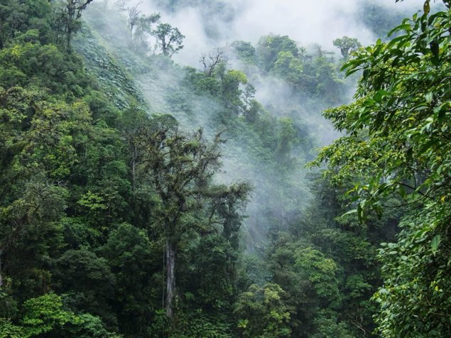 Cloud Forest Cabin on 1.72 Acres | No HOA | Los Ángeles, San Ramón in Ángeles, San Ramón, Alajuela — $300,000 - Photo 2 of 16