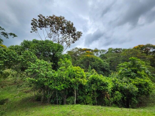 1+manzana en Miravalles con ASADA, Perez Zeledon. in San Isidro De El General, Pérez Zeledón, San José — $159,999