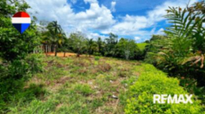 REBAJO DE PRECIO: LOTE 100% PLANO DE 1.084 M2 EN EL PILAR DE CAJON, PEREZ ZELEDON en Cajón, Pérez Zeledón, San José — $51,000