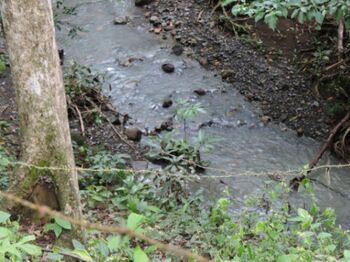 TERRENO ESPECIAL PARA DESARROLLO en Coyolar, Orotina, Alajuela — $800,000 - Foto 5 de 14