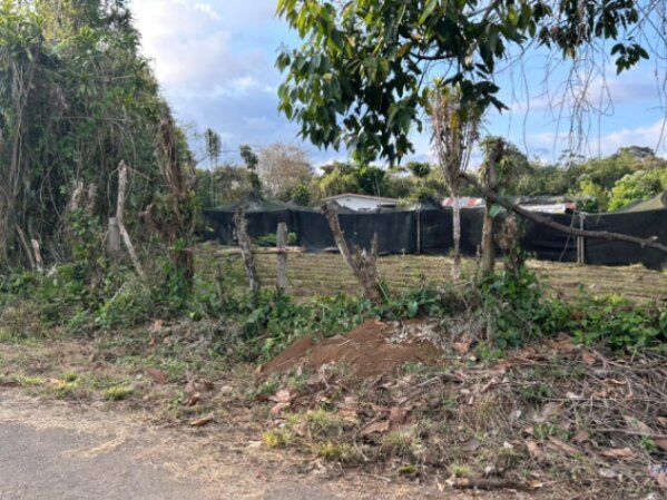 ¡Tu Futuro Comienza Aquí! Lote con Ubicación Privilegiada en Palmares  en Zaragoza, Palmares, Alajuela — ₡ 43 000 000