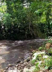 Lotes con Vista al Volcán a 7km de Fortuna y Río al fondo en La Fortuna, San Carlos, Alajuela — 63 200 000 ₡ - Foto 4 de 5