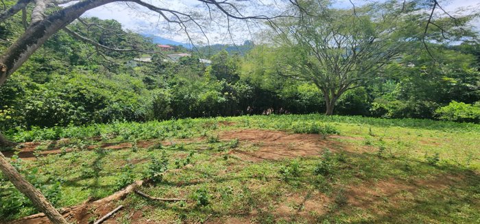 Quinta exclusiva en San Miguel de Naranjo en venta in San Miguel, Naranjo, Alajuela — $170,000