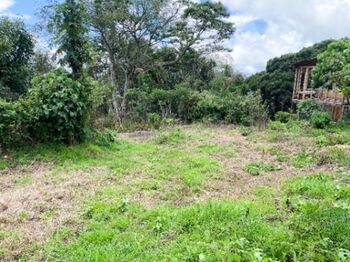¡Oportunidad única! Se vende terreno en Santa María de Dota, El Jardín en San Marcos, Tarrazú, San José — 22 000 000 ₡ - Foto 4 de 9