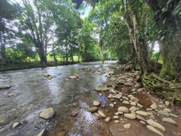 FINCA EN VENTA, GRECIA ALAJUELA, COD#26-834 in Río Cuarto, Alajuela — $2,135,000