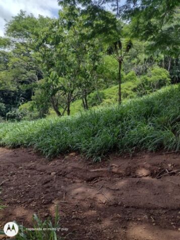 Invierte en un paraíso natural con alto potencial de plusvalía, Acosta, San José, Costa Rica. in Guaitil, Acosta, San José — ₡ 75 000 000