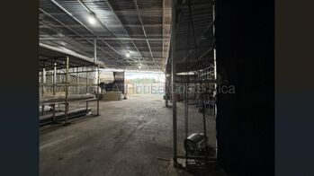 Venta de Galerón Industrial en Mercedes de Heredia. RAH 26-1488 - Photo 2 of 3