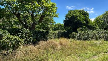 VENTA TERRENO DE DESARROLLO, HEREDIA, SANTO DOMINGO en San Vicente, Santo Domingo, Heredia — $3,784,000 - Foto 4 de 13