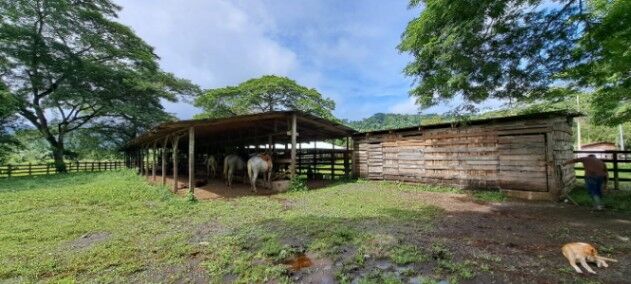 FINCA GANADERA 219 HA EN TULIN in Chires, Puriscal, San José — ₡ 1 000 000 000