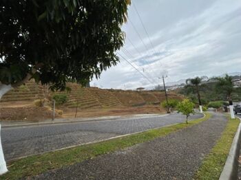 Venta de Lote en Grecia, Alajuela. RAH 24-1588 en Grecia, Alajuela — 50 000 000 ₡ - Foto 4 de 10