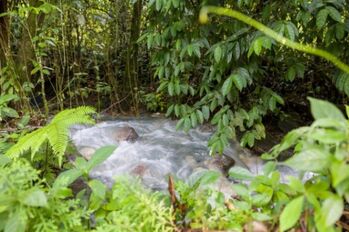 Se vende amplio lote de 24 Hectáreas en Aguas Claras 24-422 in Aguas Claras, Upala, Alajuela — $1,970,000 - Photo 5 of 21