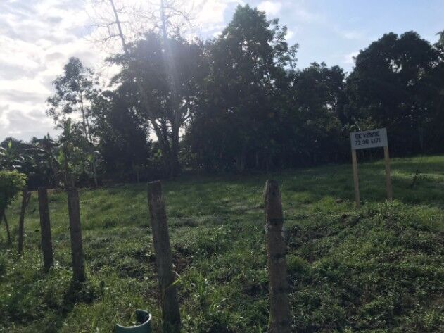 Hermoso lote en Las Pavas de Upala en Delicias, Upala, Alajuela — ₡ 12 000 000