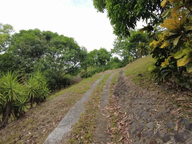 Venta de FINCA en Orotina de Alajuela. RAH 23-2437 en Orotina, Alajuela — ₡ 80 000 000 - Foto 3 de 15