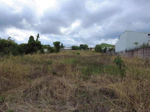 MLS-24-355 VENTA LOTE ALAJUELA CENTRO CONTACTENOS AL # 88987222 en Alajuela — $710,000