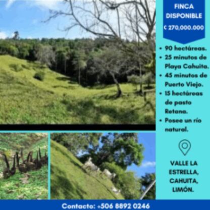 SE VENDE ESTA BELLEZA DE FINCA EN LIMÓN, COSTA RICA. en Cahuita, Talamanca, Limón — ₡ 270 000 000